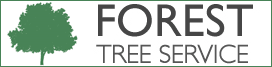 forest tree service